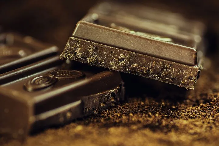 Мировой производитель шоколада и какао запустит фабрику в Калининграде